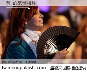 葉 來世的未來相片