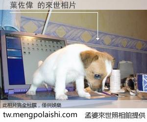 葉佐偉 來世的未來相片