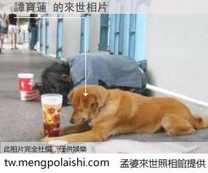 譚寶蓮 來世的未來相片