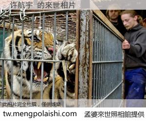 许航宇 來世的未來相片