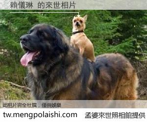 賴儀琳 來世的未來相片