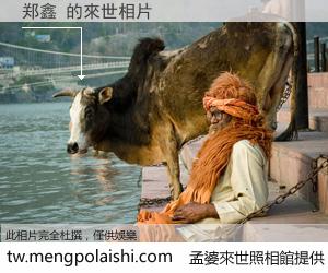 郑鑫 來世的未來相片