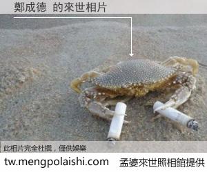 鄭成德 來世的未來相片