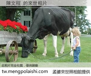 陳文程 來世的未來相片