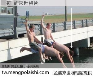 雞 來世的未來相片