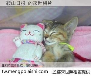 鞍山日报 來世的未來相片