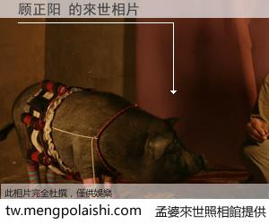 顾正阳 來世的未來相片