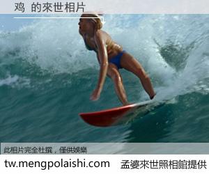 鸡 來世的未來相片