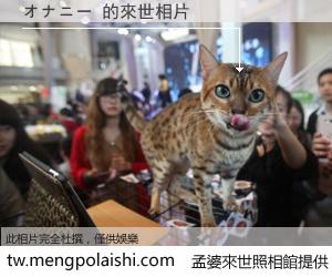 オナニー 來世的未來相片