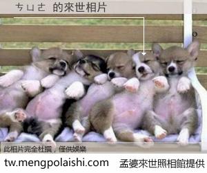 ㄘㄩㄜ 來世的未來相片