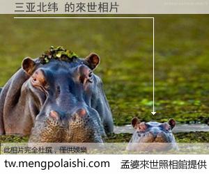 三亚北纬 來世的未來相片