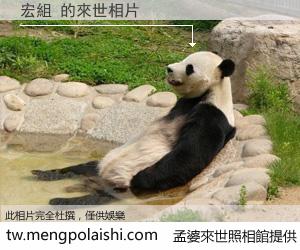 宏組 來世的未來相片