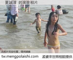 夏誠澤 來世的未來相片