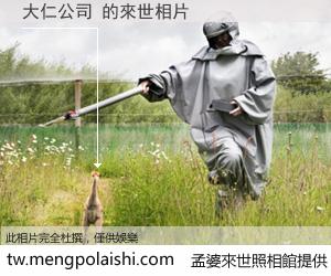 大仁公司 來世的未來相片