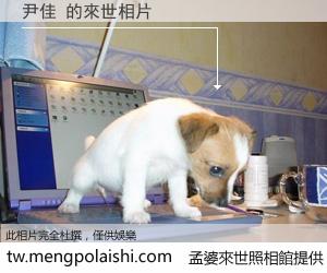 尹佳 來世的未來相片