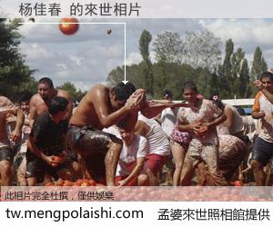 杨佳春 來世的未來相片