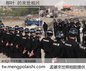 柳叶 來世的未來相片