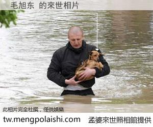 毛旭东 來世的未來相片