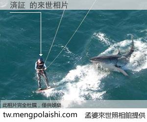 済証 來世的未來相片