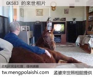 GK583 來世的未來相片