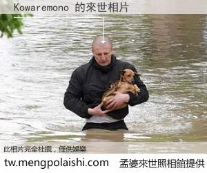 Kowaremono 來世的未來相片