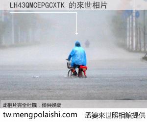 LH43QMCEPGCXTK 來世的未來相片