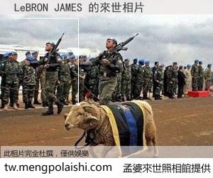 LeBRON JAMES 來世的未來相片