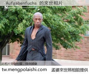 Aufgabenfuchs 來世的未來相片