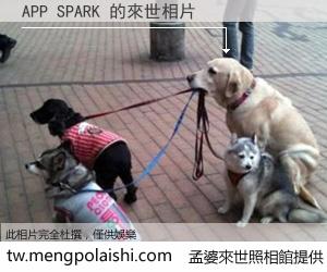 APP SPARK 來世的未來相片