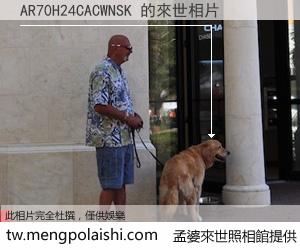 AR70H24CACWNSK 來世的未來相片