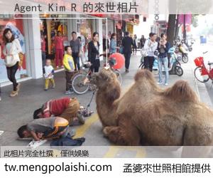 Agent Kim R 來世的未來相片