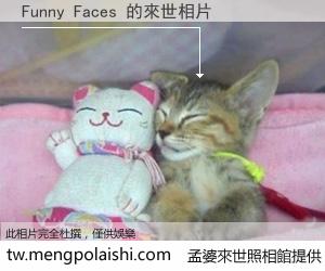 Funny Faces 來世的未來相片