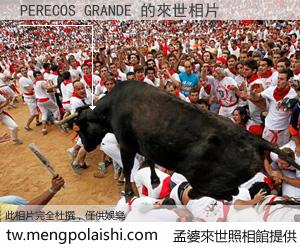 PERECOS GRANDE 來世的未來相片