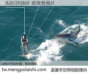 RJ01293869 來世的未來相片