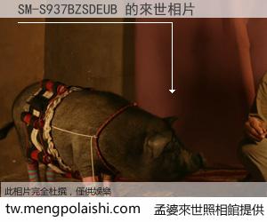 SM-S937BZSDEUB 來世的未來相片