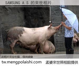 SAMSUNG A S 來世的未來相片