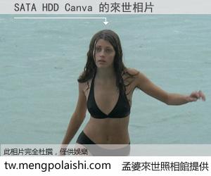 SATA HDD Canva 來世的未來相片