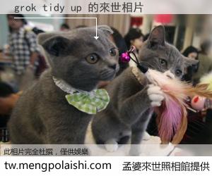 grok tidy up 來世的未來相片