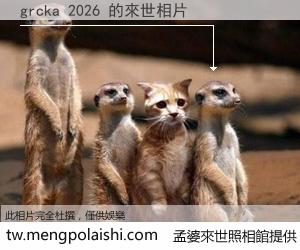 grcka 2026 來世的未來相片