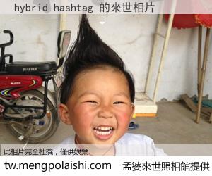 hybrid hashtag 來世的未來相片