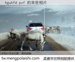 hguhfd pvf 來世的未來相片