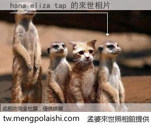 hana eliza tap 來世的未來相片