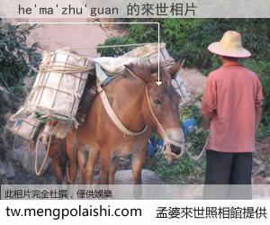 he'ma'zhu'guan 來世的未來相片