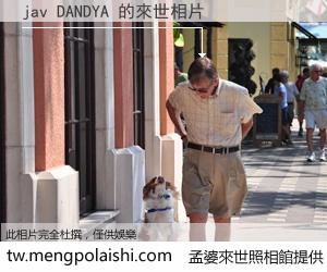 jav DANDYA 來世的未來相片