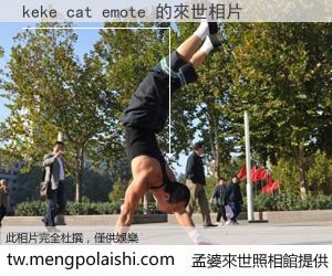 keke cat emote 來世的未來相片