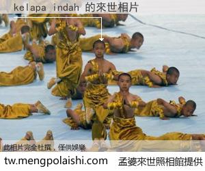 kelapa indah 來世的未來相片