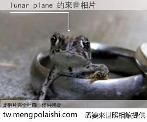 lunar plane 來世的未來相片