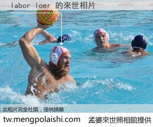 labor loer 來世的未來相片