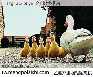 lfg acronym 來世的未來相片