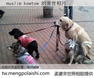 muslim kowtow 來世的未來相片